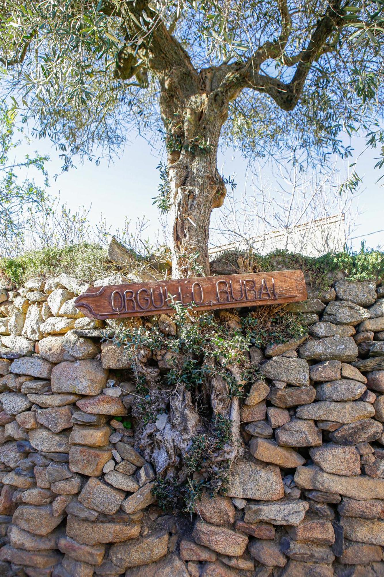 Casa Rural Therma Agreste Bermellar Exterior photo